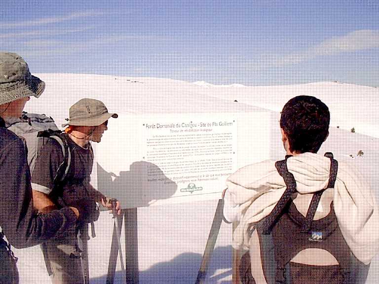 Pla de Guillem (2301 m)