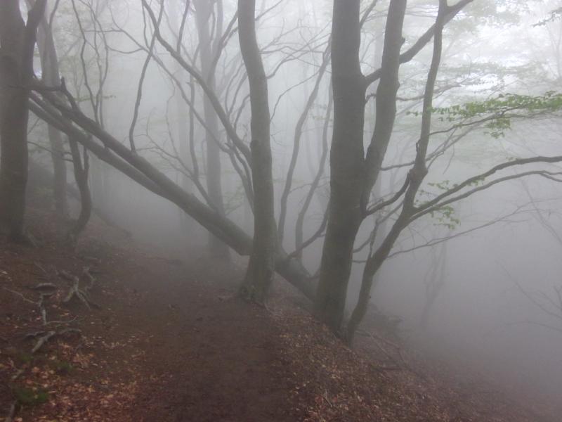 Imagen portada de la excursión