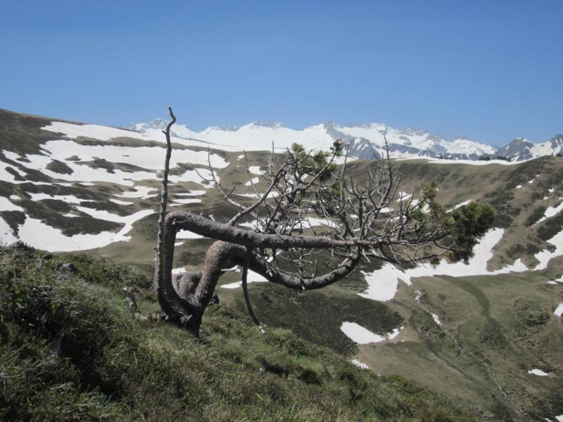 Imagen portada de la excursión