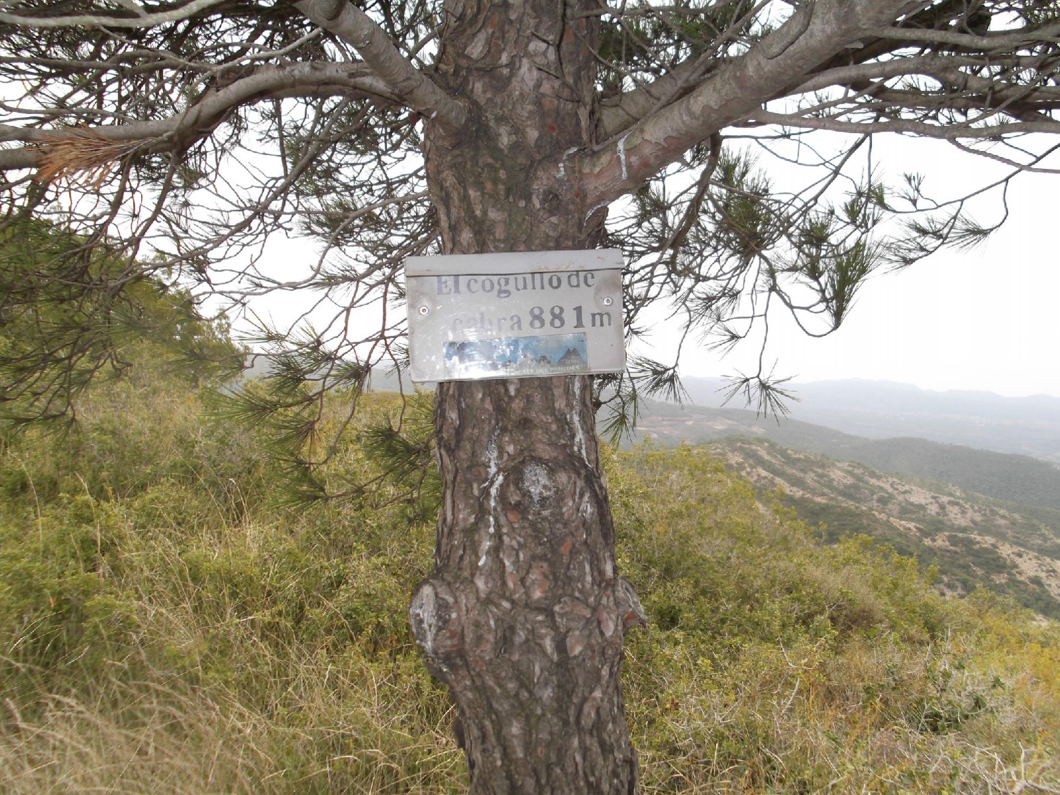 Cim