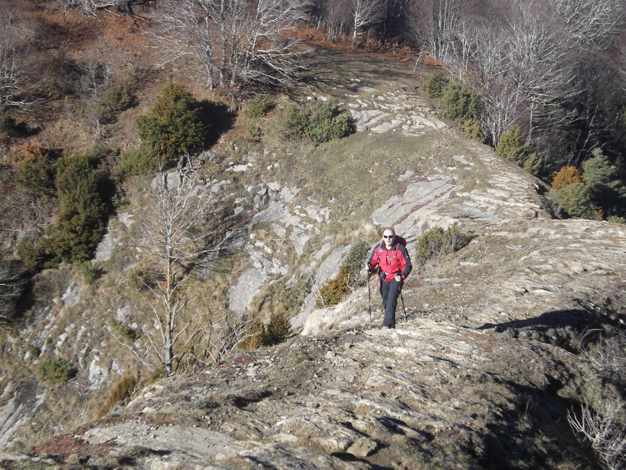 Arribant al Puig dels Llops