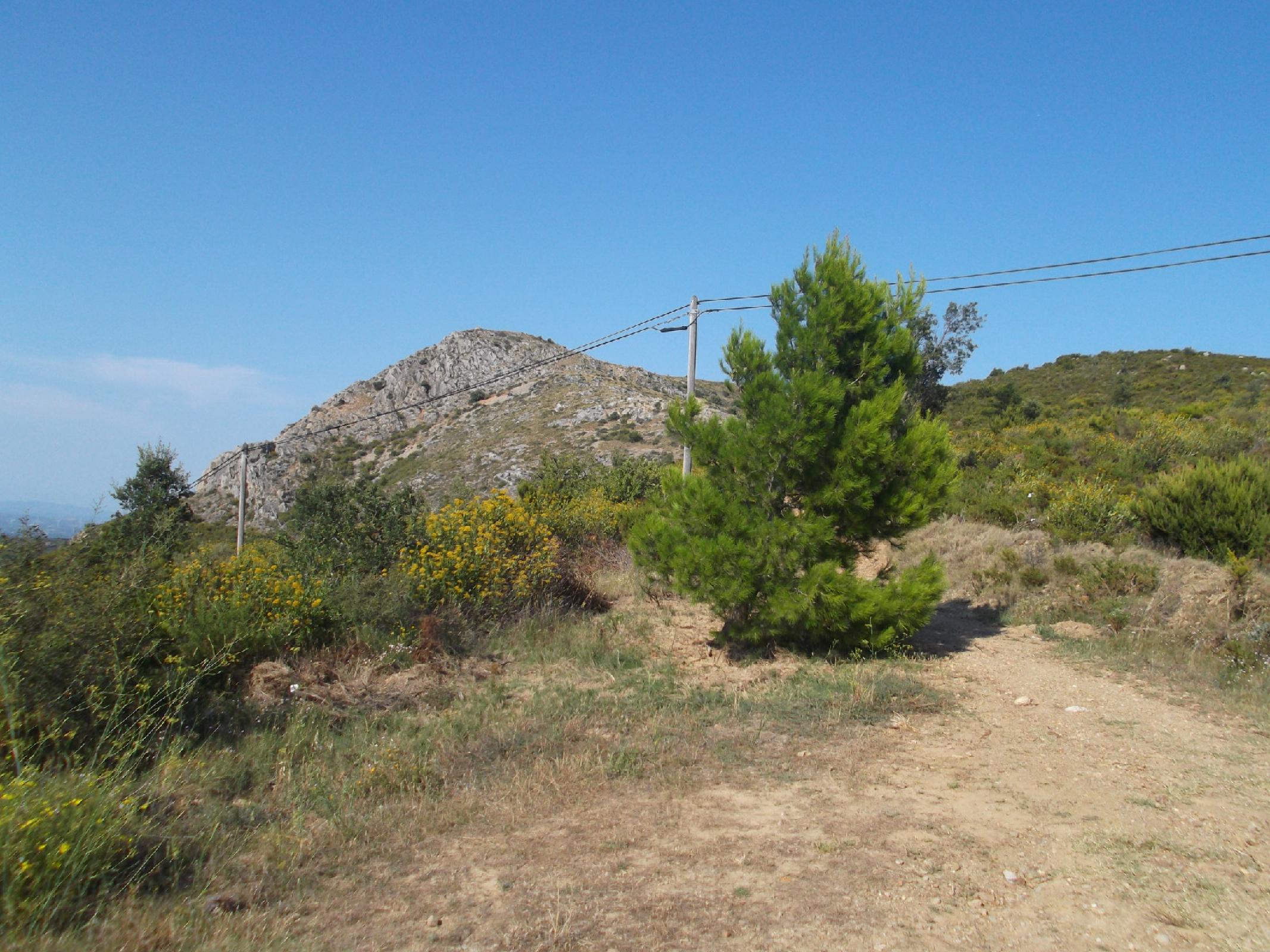 Coll de la Créu