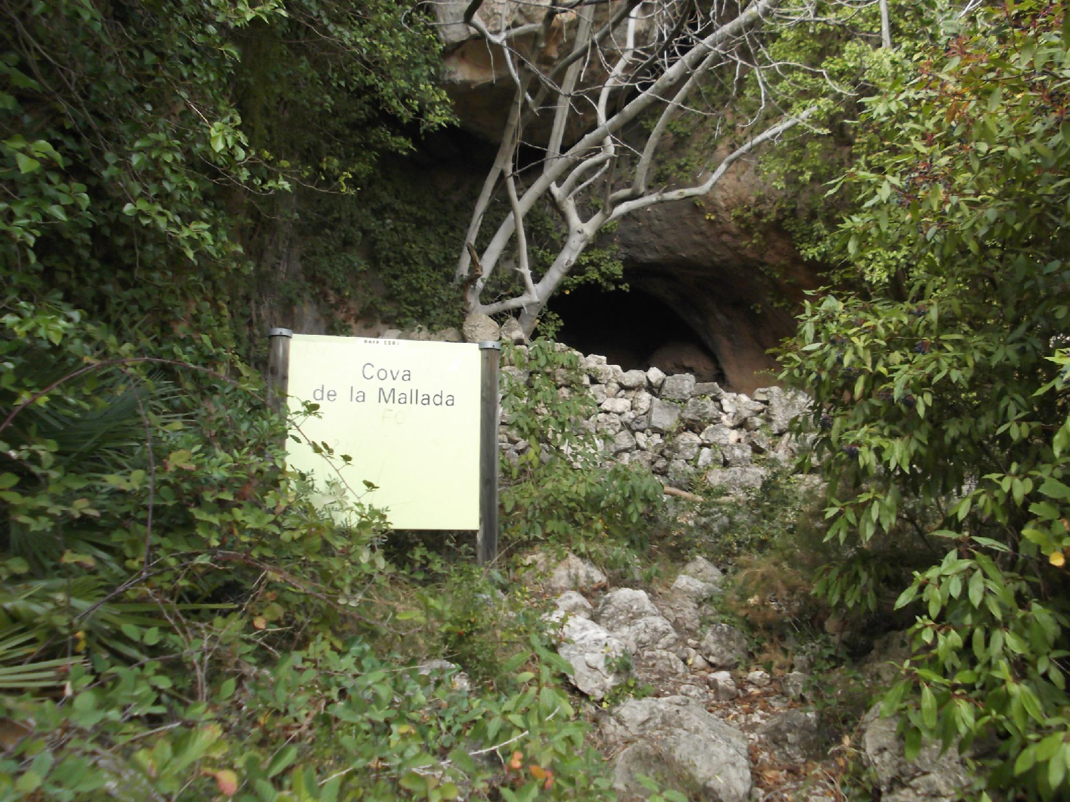 Cova de la Mallada