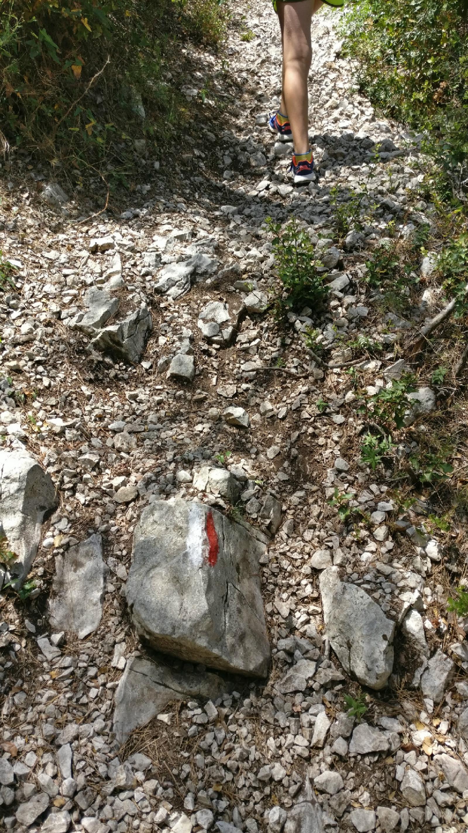 IMG 20190706 131102