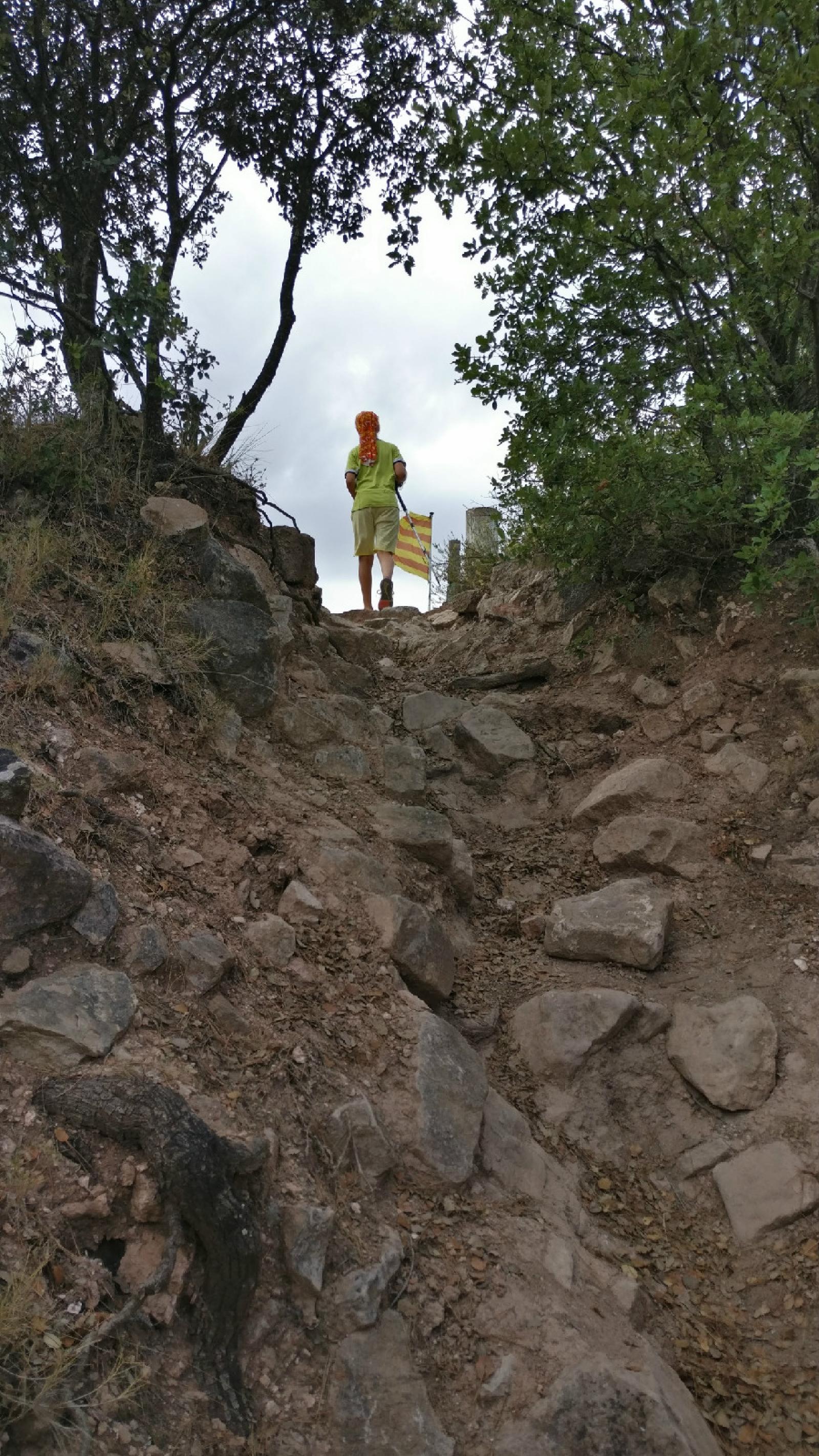 IMG 20190727 133755