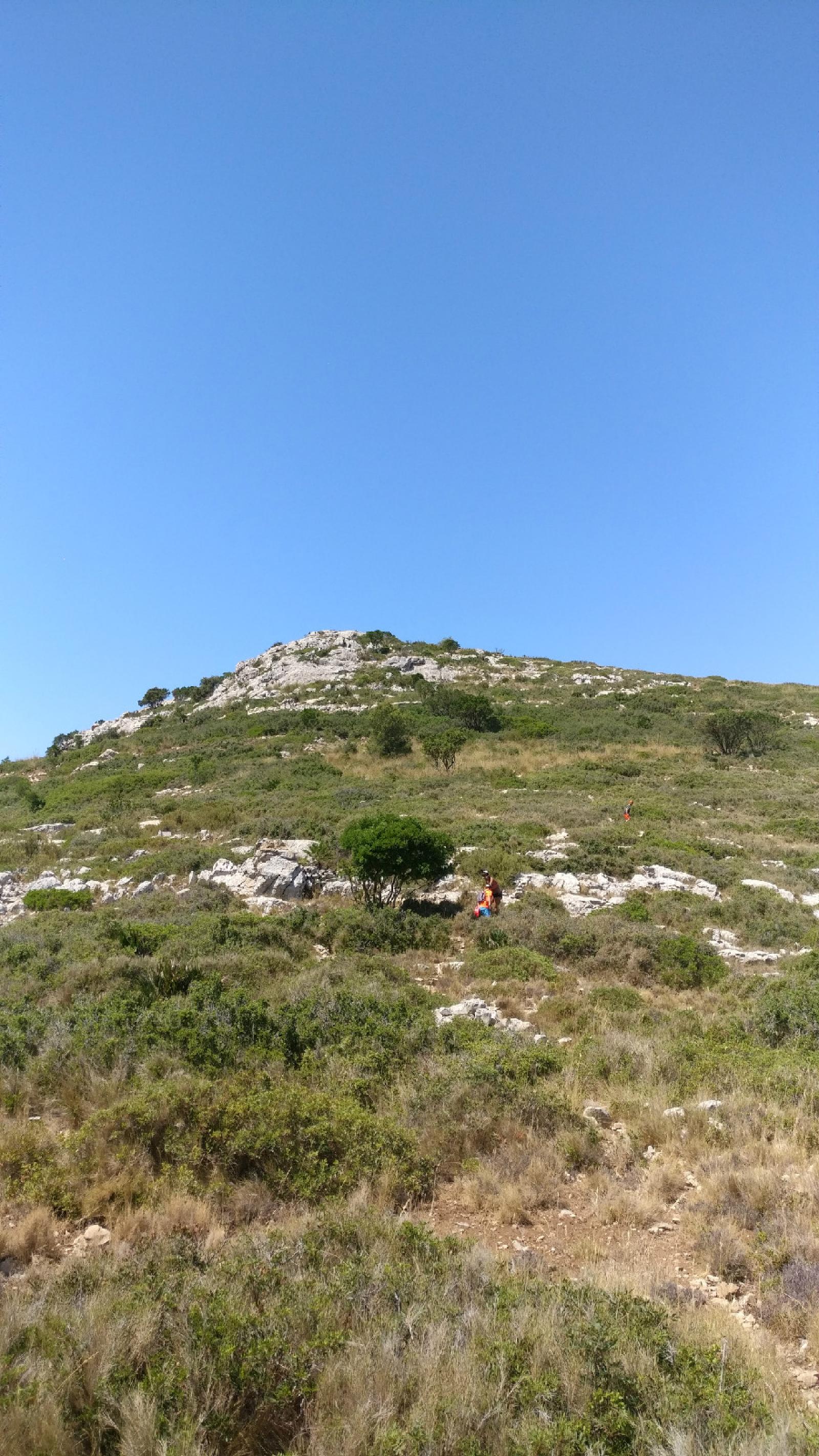IMG 20190803 125029