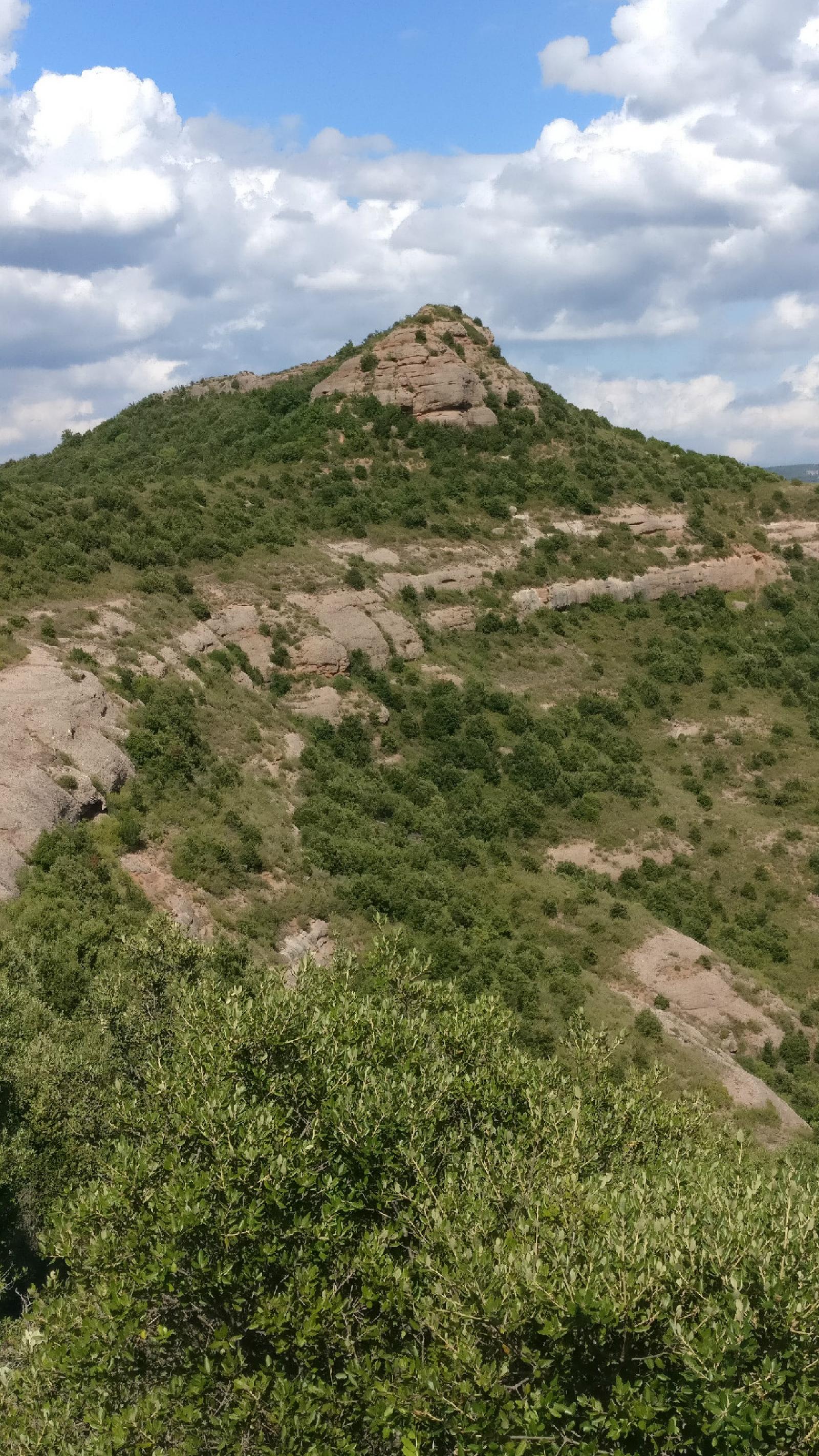 IMG 20190812 163429