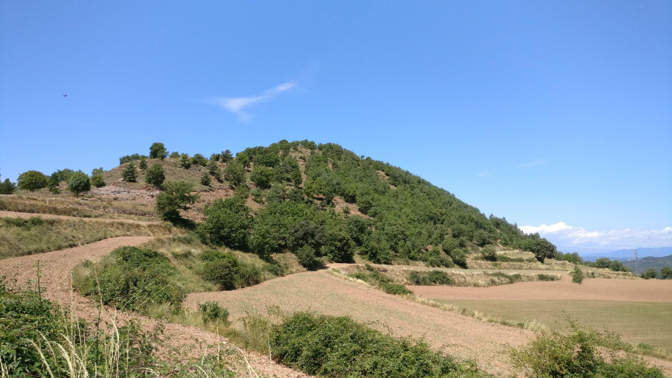 IMG 20190813 141544