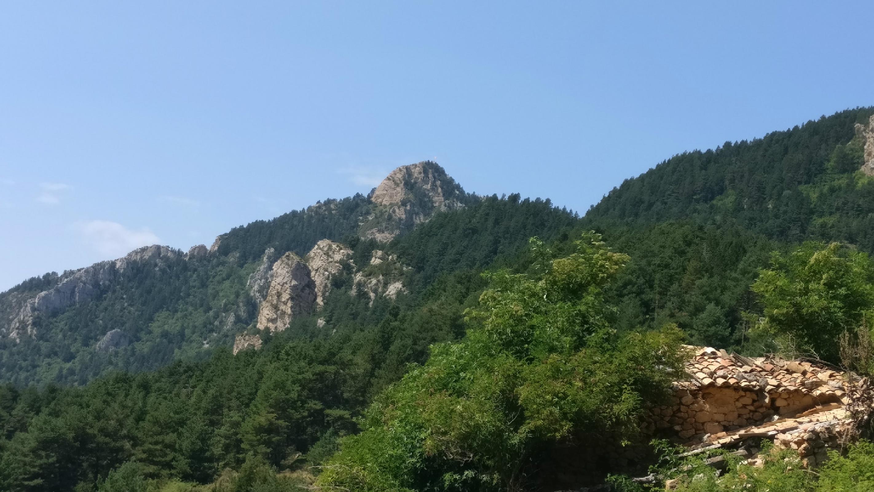 IMG 20200809 124611