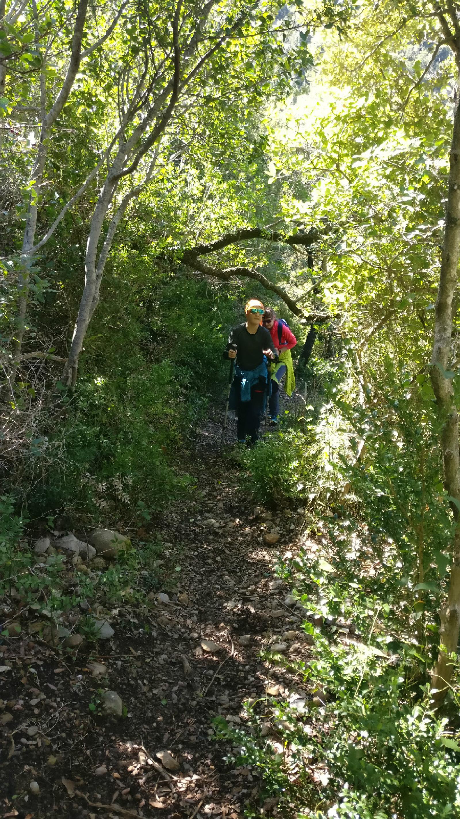 IMG 20201011 140243
