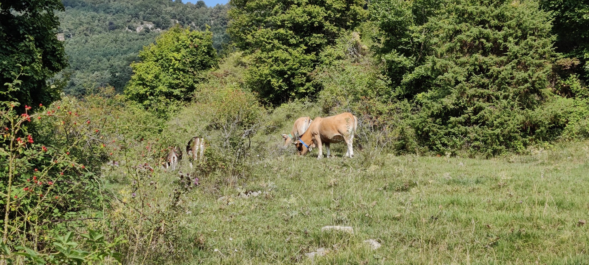 IMG 20210925 155241