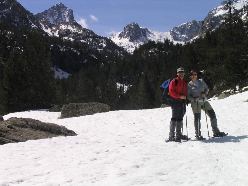 Un cop sortim del bosc al fons ja es veuen els pics de Peguera (2983 m.) i Monestero (2878 m.) 