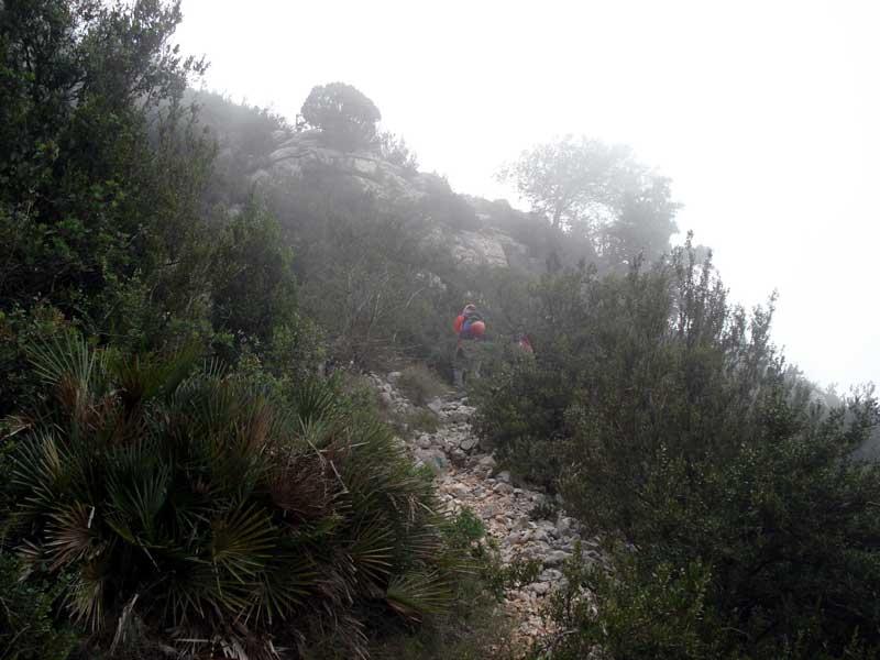 volvemos a coger un camino hacia la derecha que zig-zaguea buscando ya la Torreta del Montsià (765 m)