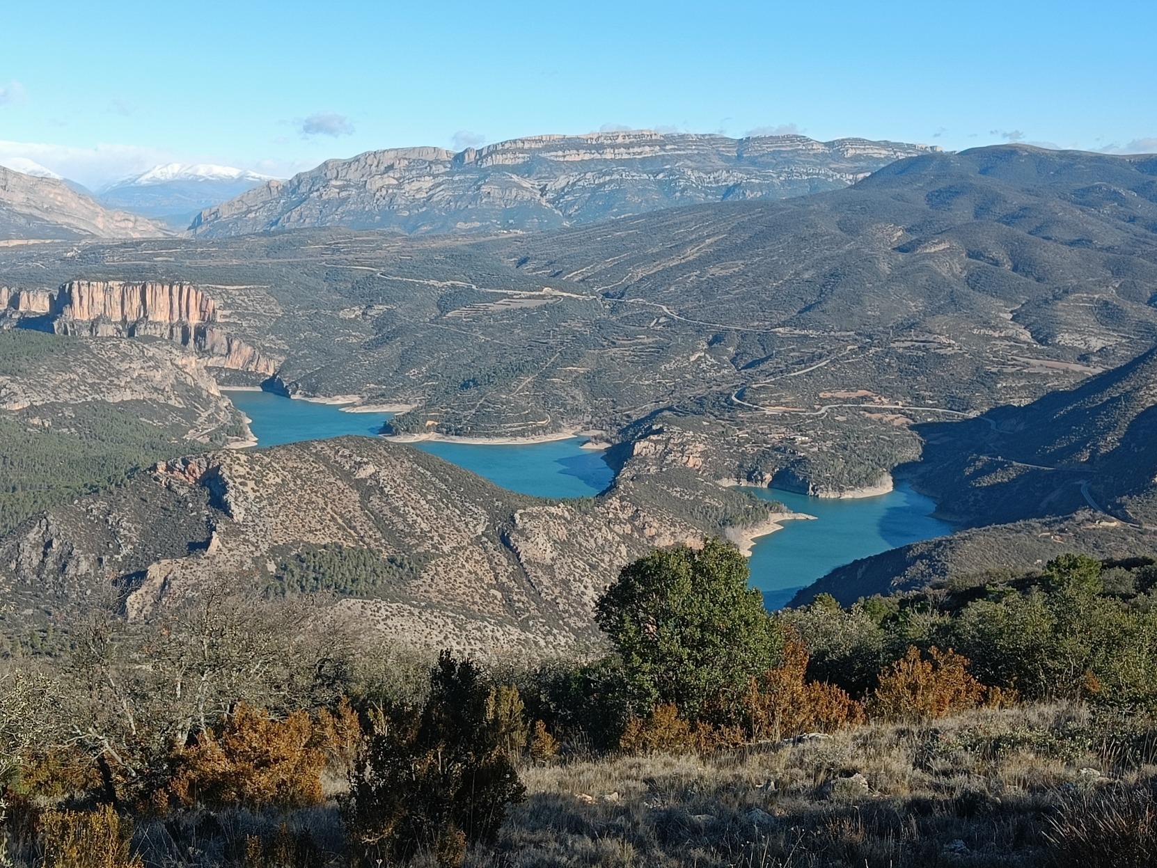 IMG20240107113351