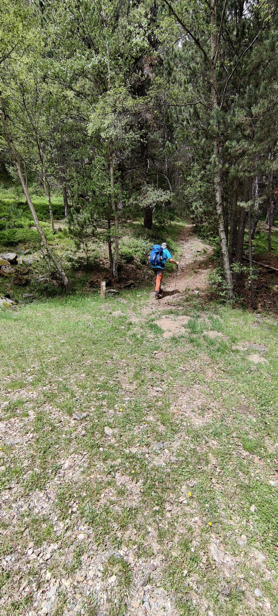 IMG 20240608 120948
