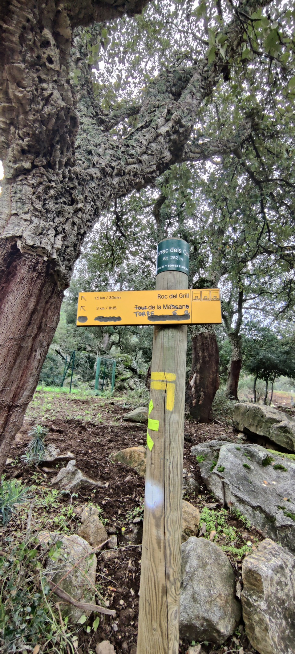 IMG 20241102 112320