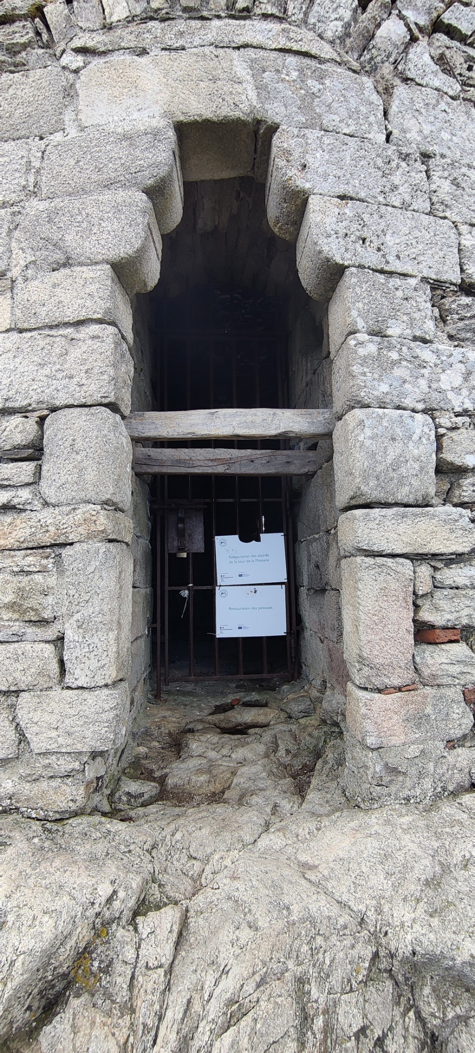 IMG 20241102 131720