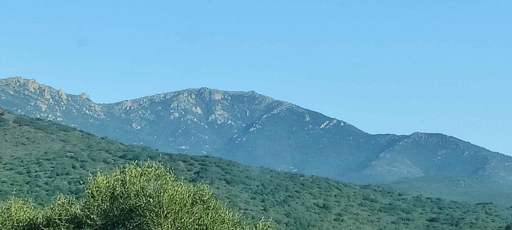 IMG 20241117 103629