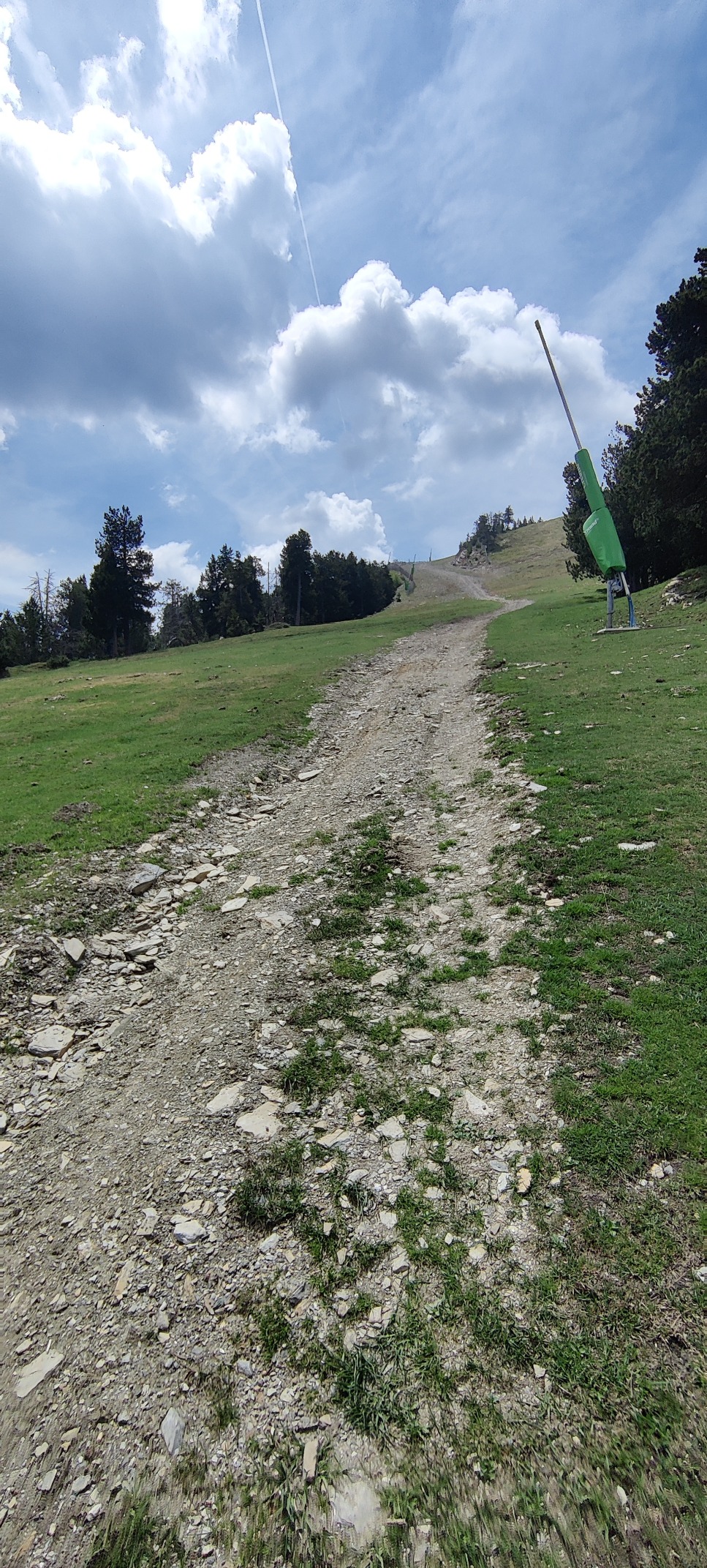 IMG 20260530 122623