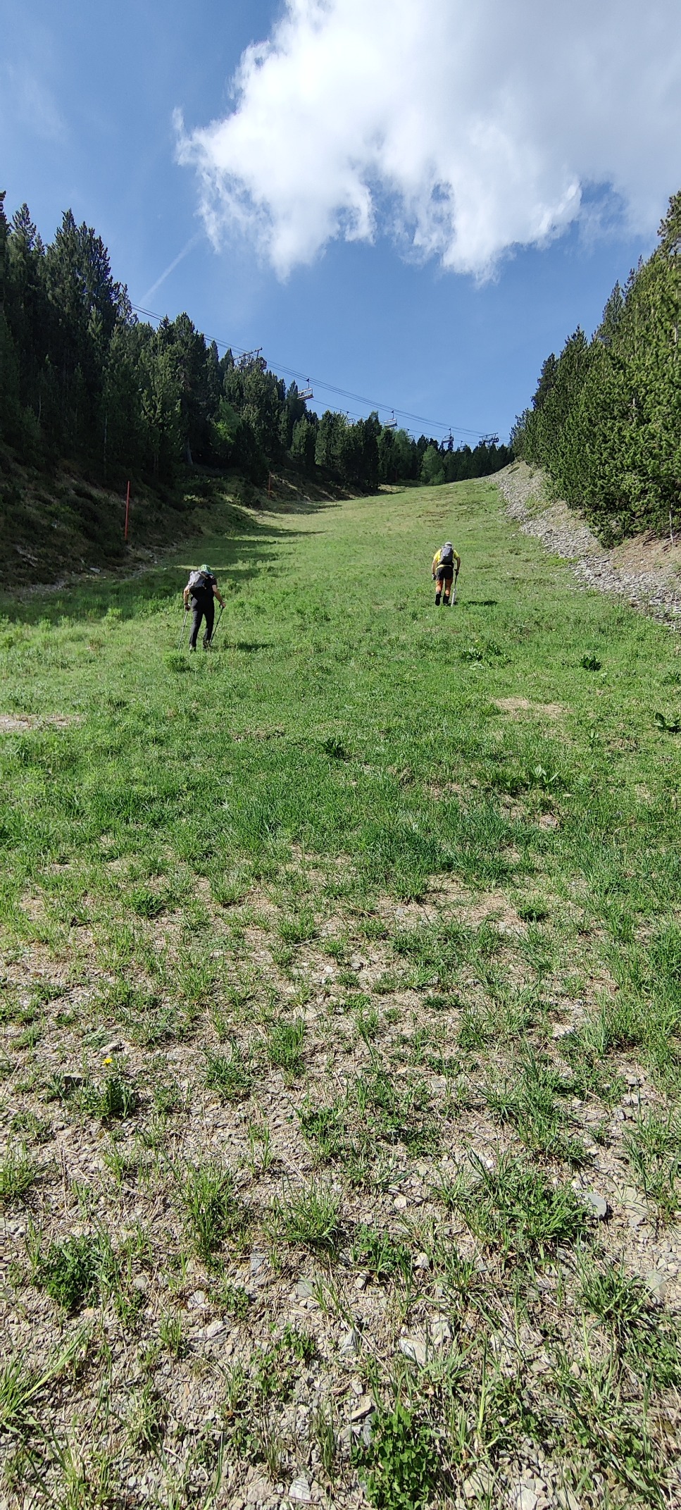 IMG 20260530 104925