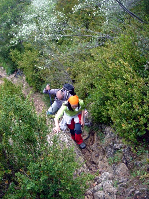 El camino va subiendo hasta el Coll de Pallers.