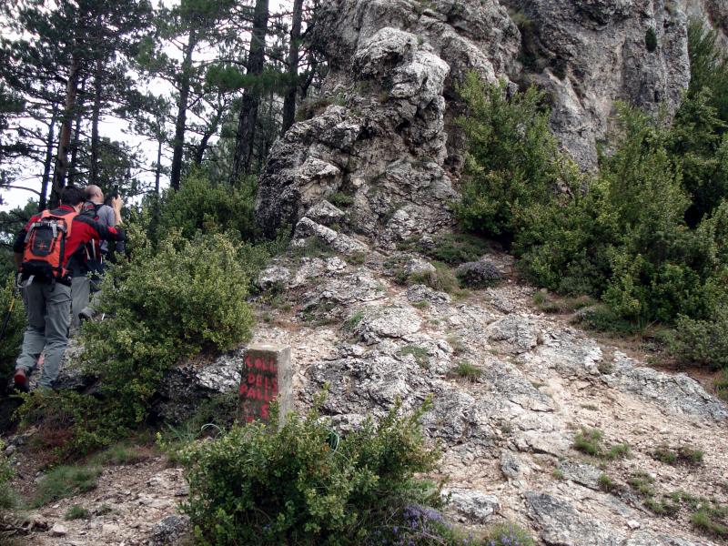 Llegamos al Coll de Pallers a las 11:40, 45 minutos depués de haber salido del cartel del refugio del Monte Caro.