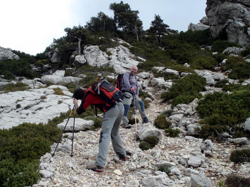 Tras superar el Paller de nuestra izquierda por su parte izquierda llegamos a una canaleta con piedra descompuesta que nos dejará en els Plans de la Moleta Redona.