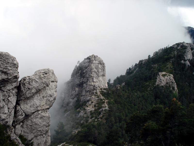 Vistas hacia el Coll de Pallers con la niebla que ya nos va envolviendo.