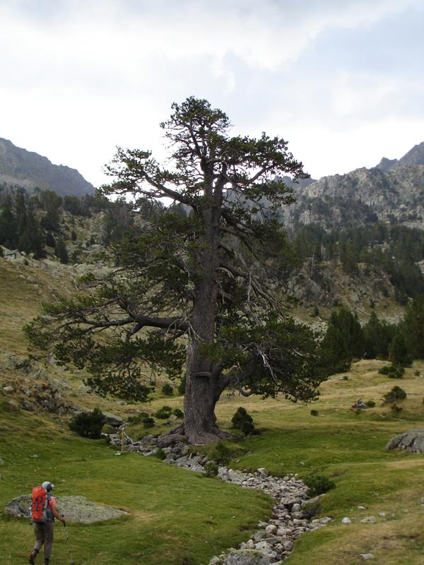 Imagen portada de la excursión