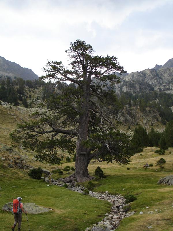 Imagen portada de la excursión