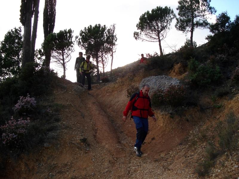 El camí de tornada