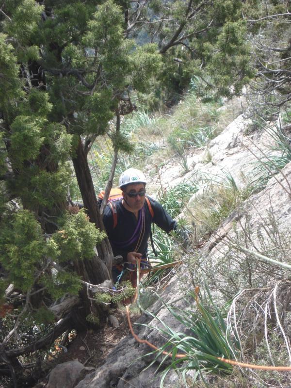 por un diedro con árbol