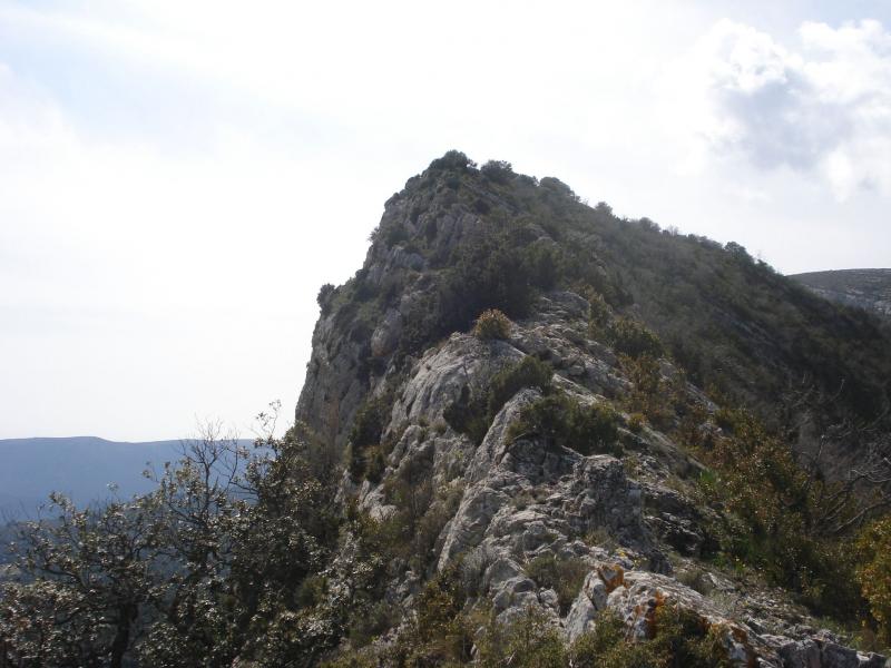 misma cresta somital