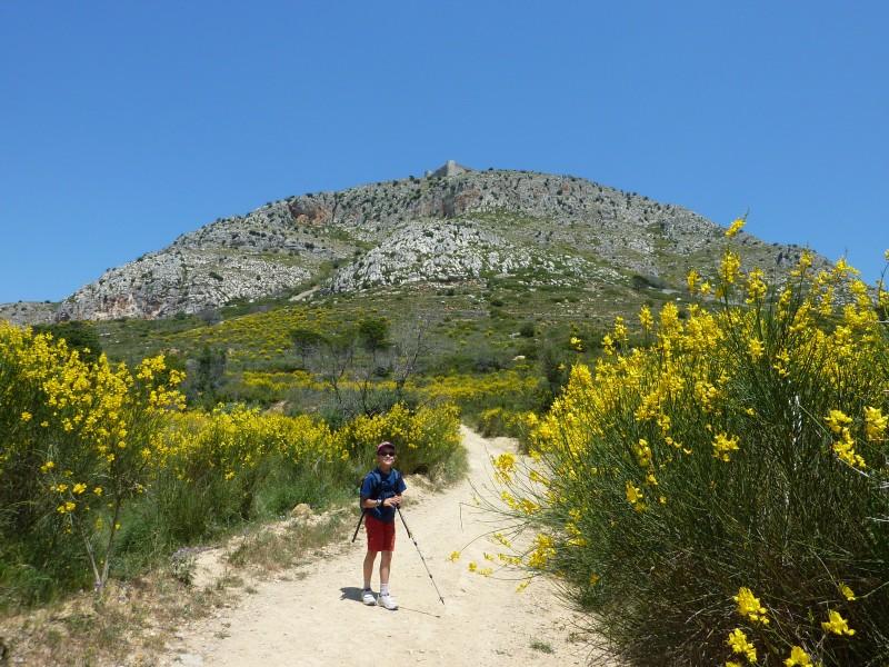 Imagen portada de la excursión