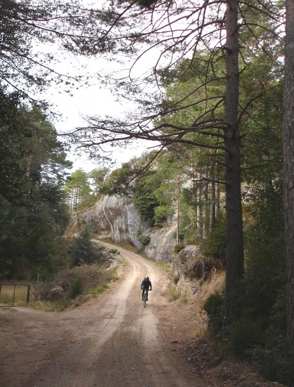 Imagen portada de la excursión