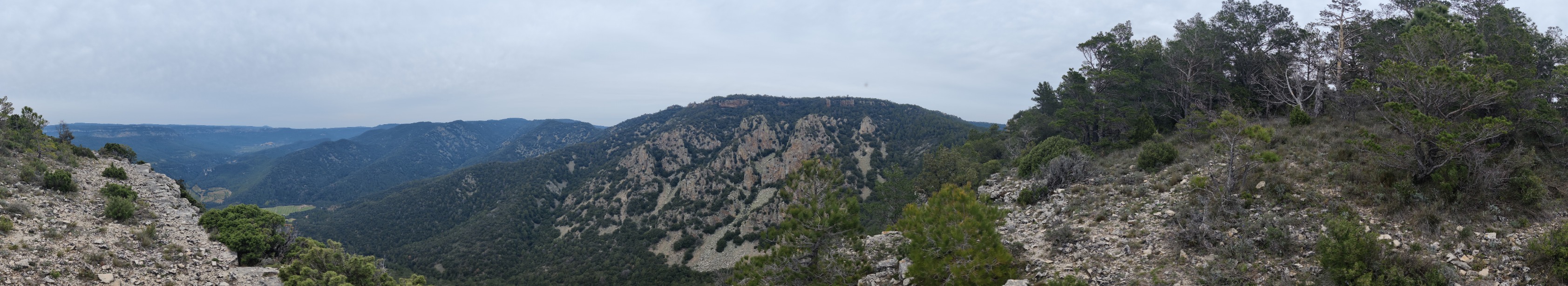 Vistas desde la cima de la Mola de la Roquerola (1066 m)